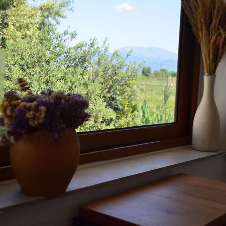 Rustic Tale Guesthouse المظهر الخارجي الصورة