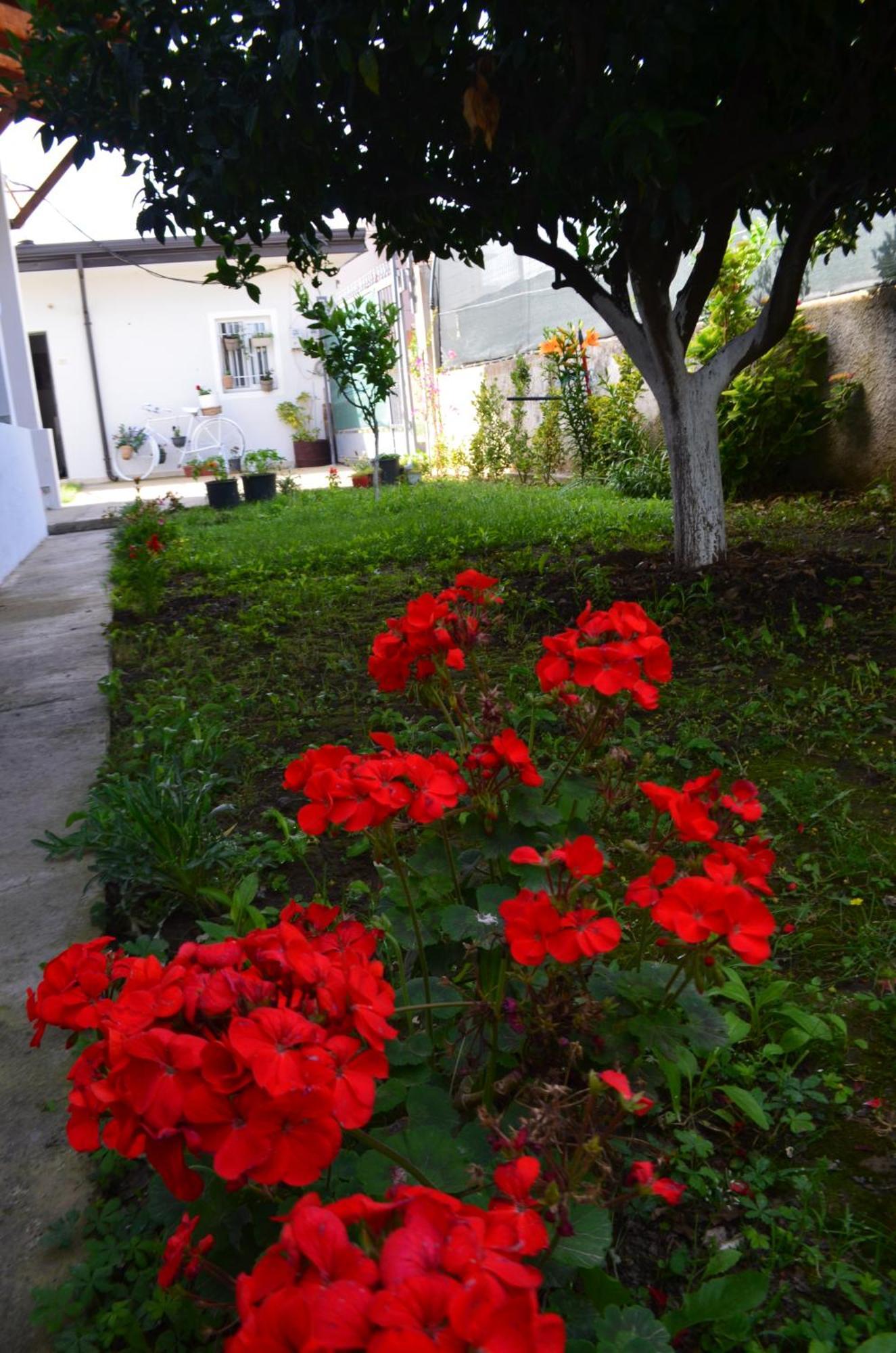 Rustic Tale Guesthouse المظهر الخارجي الصورة