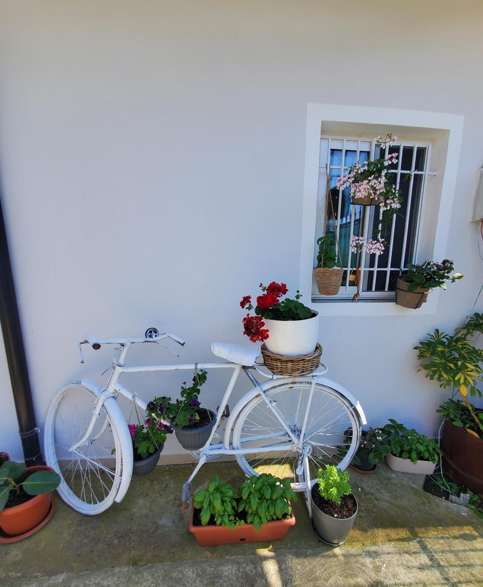 Rustic Tale Guesthouse المظهر الخارجي الصورة