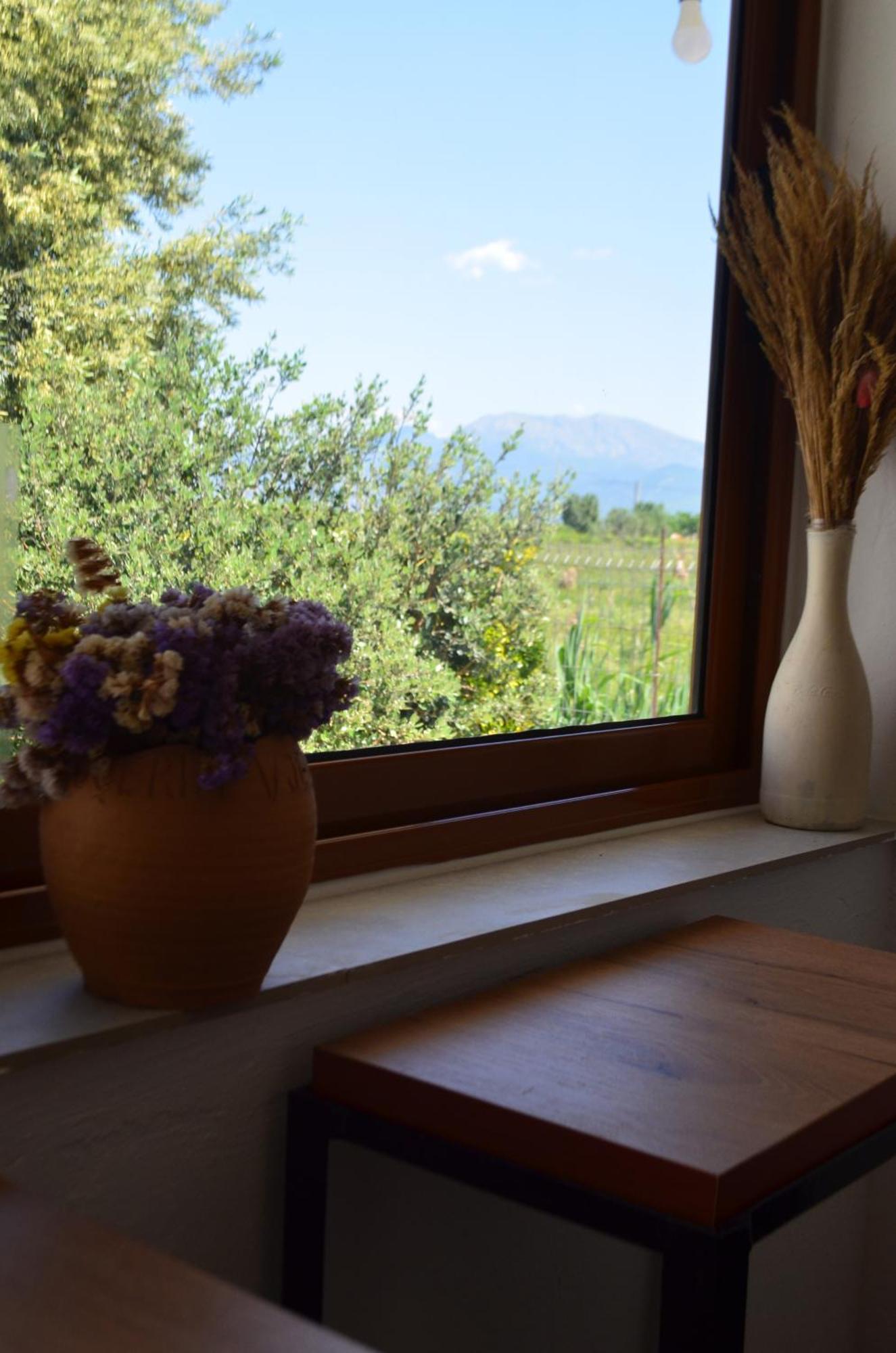 Rustic Tale Guesthouse المظهر الخارجي الصورة