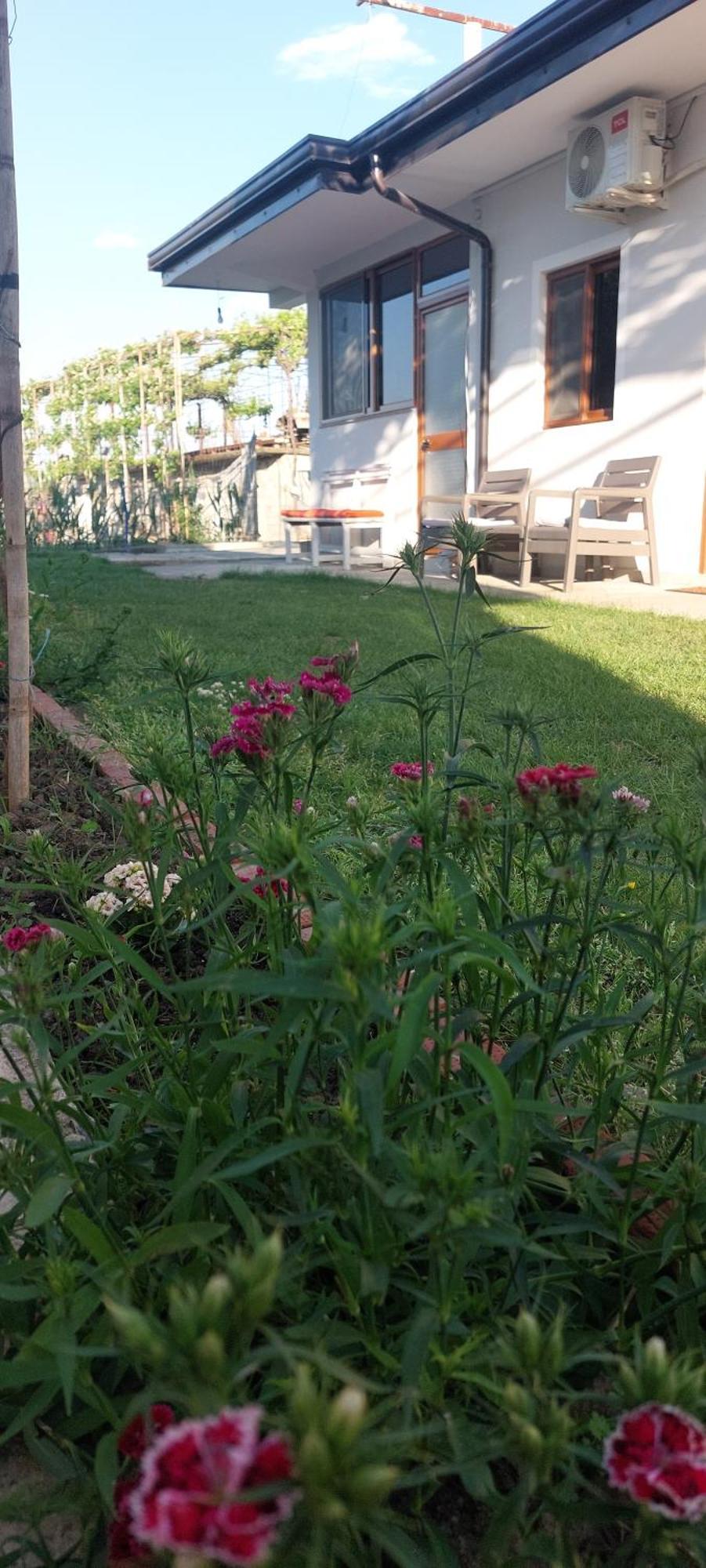 Rustic Tale Guesthouse المظهر الخارجي الصورة